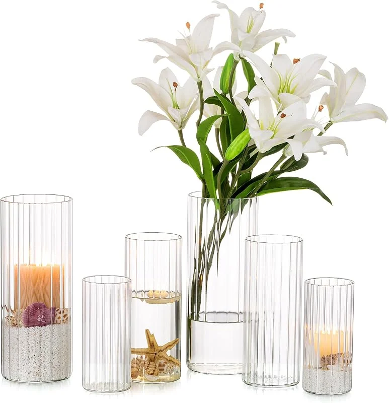 Visita la tienda de Nuptio Nuptio Florero Cristal para Flores Cilindro: 6 Piezas Jarrones Flores Transparentes para Centros de Mesa Boda Huracán Titular Vela para Velas Pilar Flotante Mesa Navidad Sala Estar(15cm, 20cm, 25cm) — Hogar y cocina