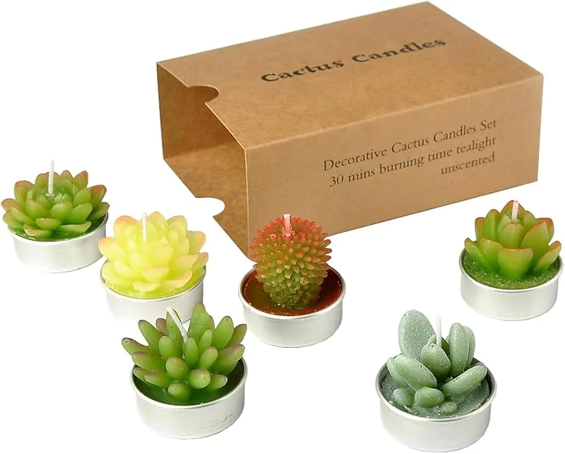 SSleng Cactus velas: sanseng – hecho a mano delicado Cactus suculentas velas para fiesta de cumpleaños, boda, Spa, decoración para el hogar (6 pcs en pack) — Cena a la luz de velas