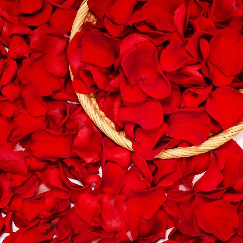 Visita la tienda de Miofula Miofula Petalos de Rosa Naturales Regalos San Valentin, Pétalos de Rosa Propuestas de Matrimonio y Compromiso, Flores Regalo Mujer Pareja Novia, Rosa Eterna Decoración Aniversario Boda Navidad Cumpleaños — Adviento y mesa