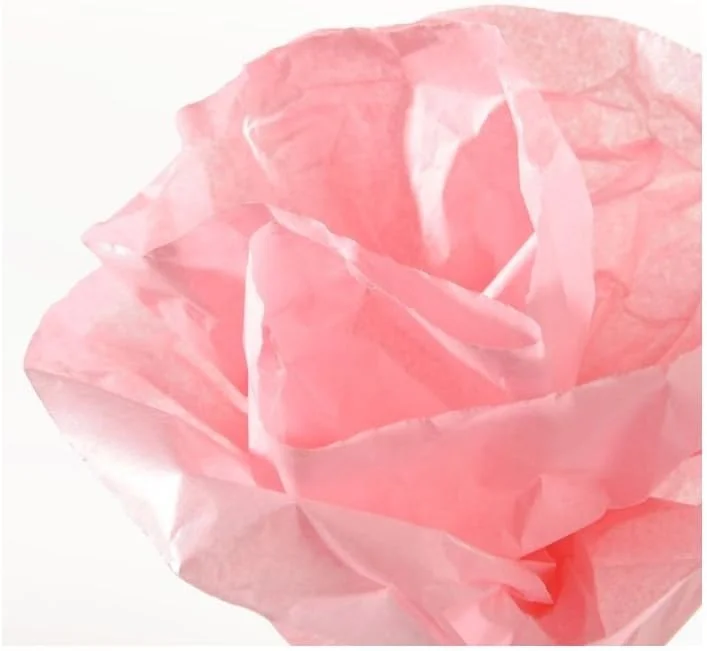 Visita la tienda de Canson Canson Escolar Rollo 50x500 cm, Canson Seda 20g, Rosa — Envoltorio regalo